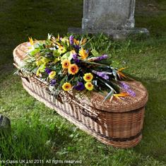Tropical Casket Spray
