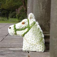 Horse Head 