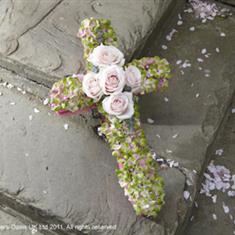 Hydrangea Cross