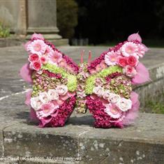 Butterfly Tribute