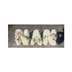 NAN Lettering Tribute 2 