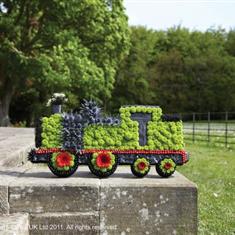 Steam Train