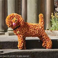 Dog Tribute