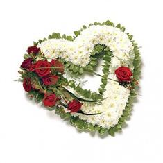 Open Heart Tribute