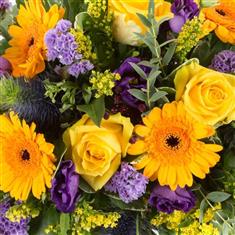 Florist&#39;s Choice Spray