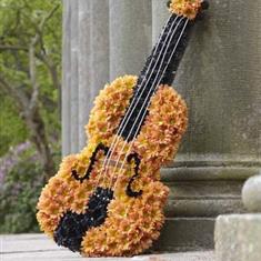 Violin Tribute 