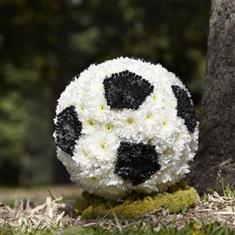 Football Tribute