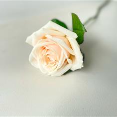 Single Funeral Rose Pink