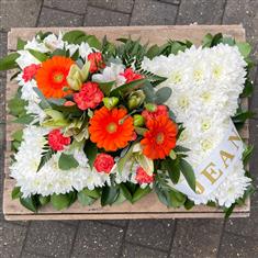 Orange &amp; White Pillow